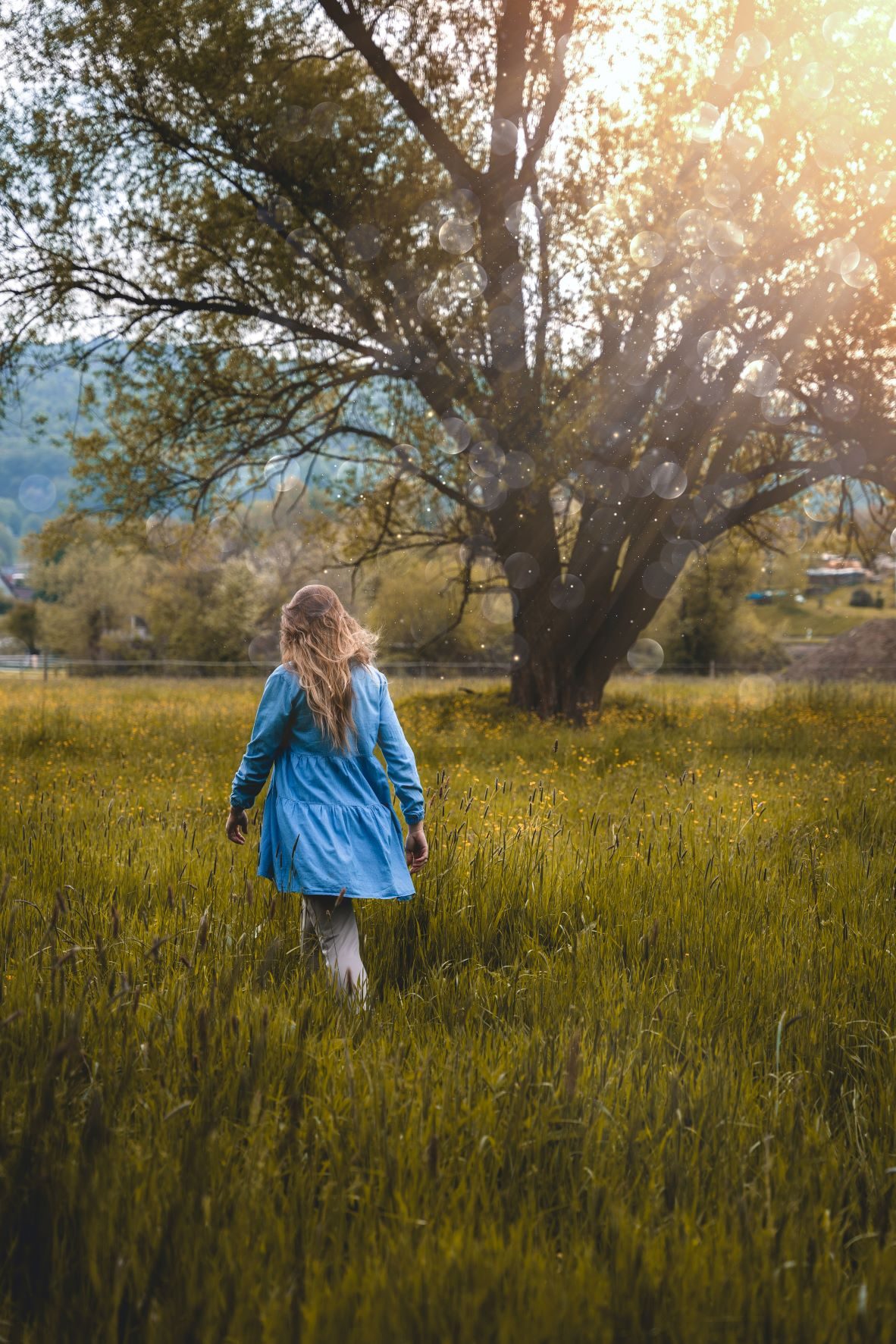 Steffi Mittenzwei geht im blauen Kleid durch eine Wiese auf einen großen Baum zu